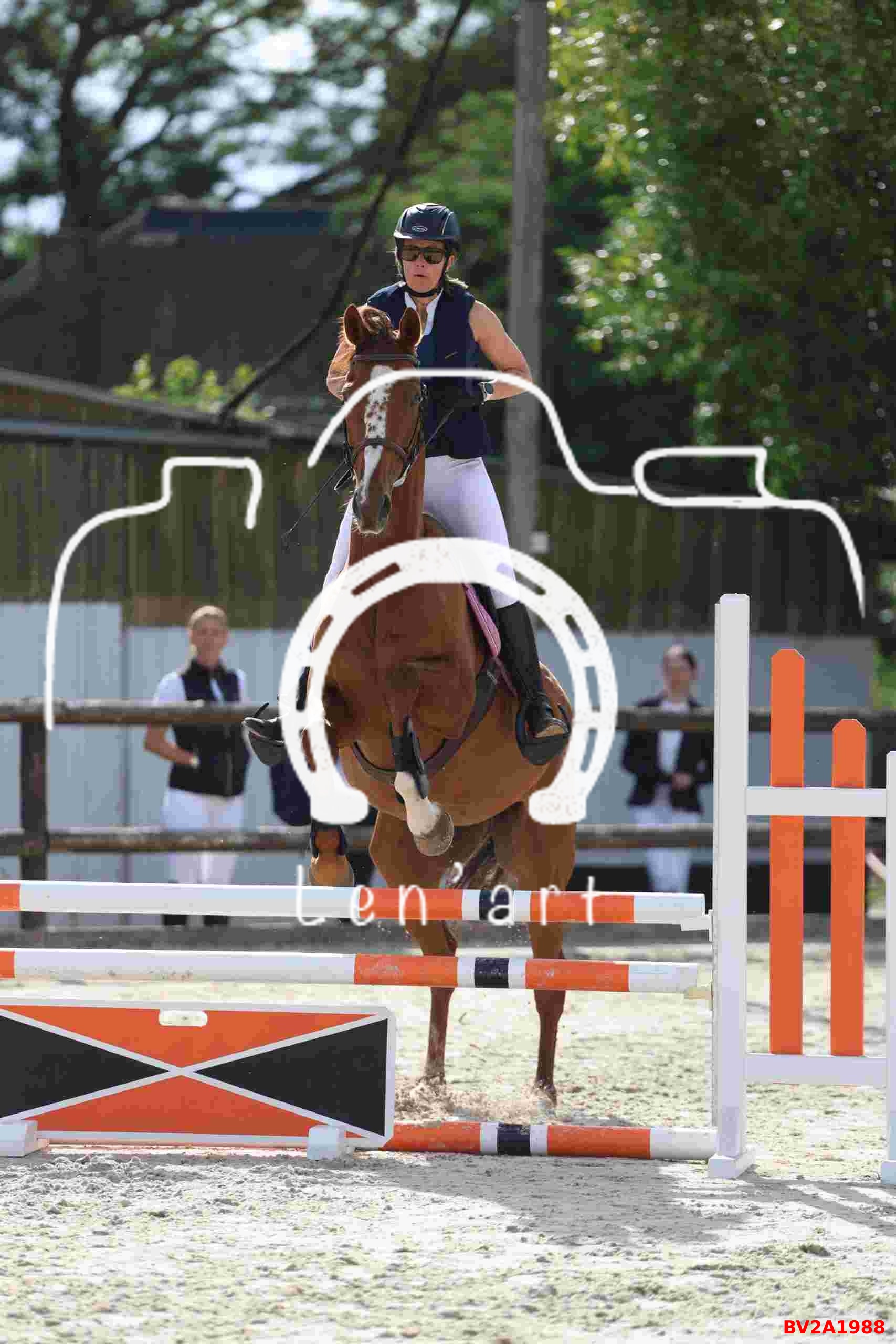 Chevaux 80 cm