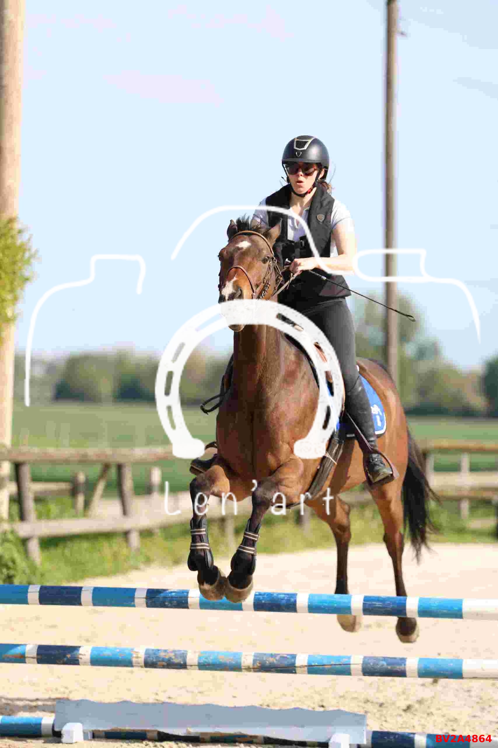 Chevaux 80 cm