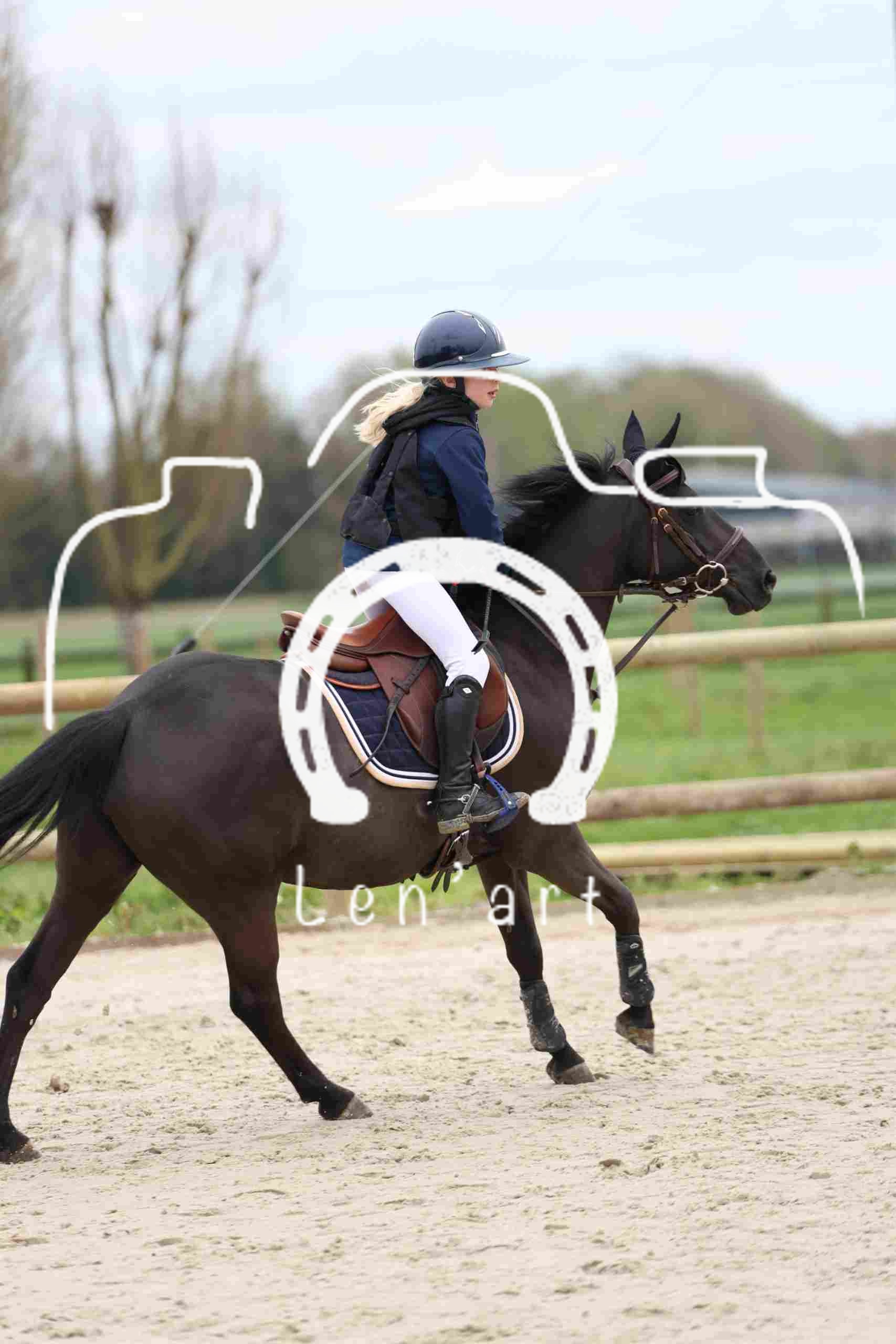 Chevaux 80 cm