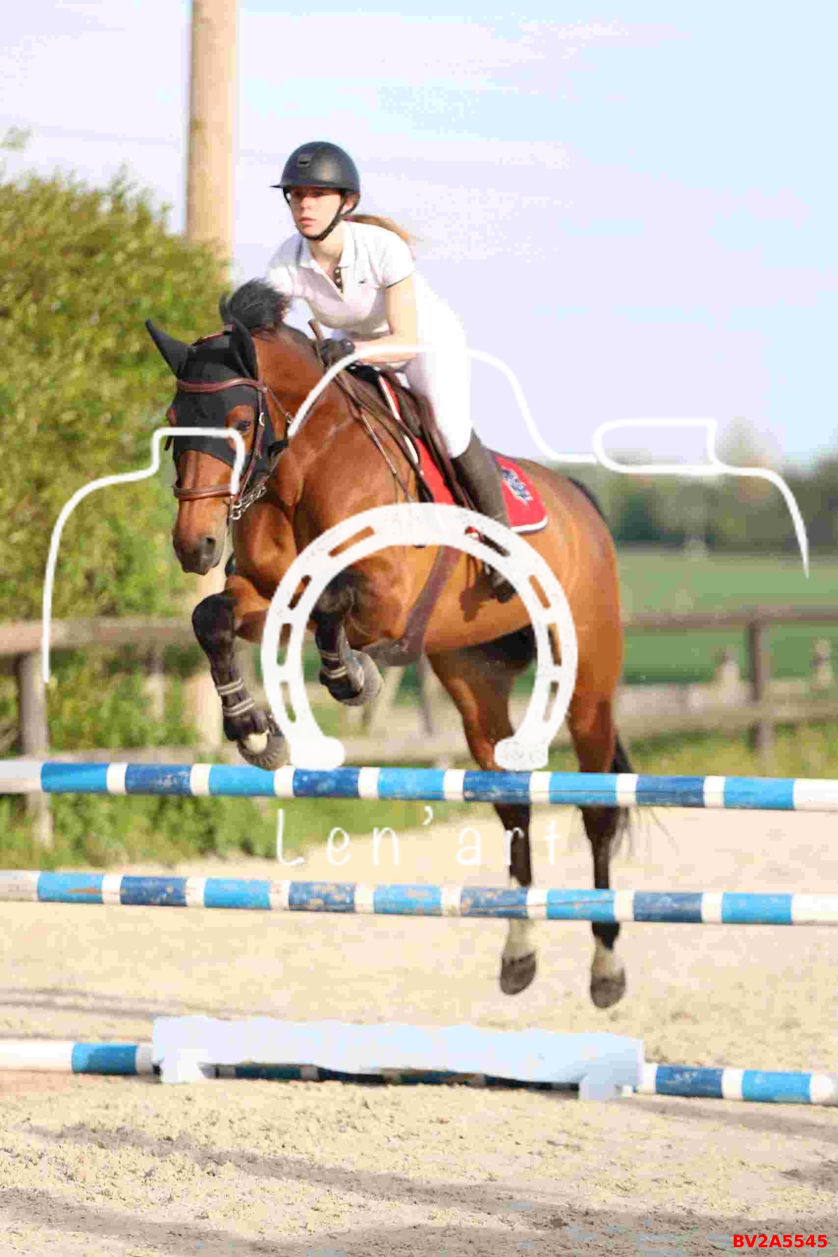 Chevaux 1m