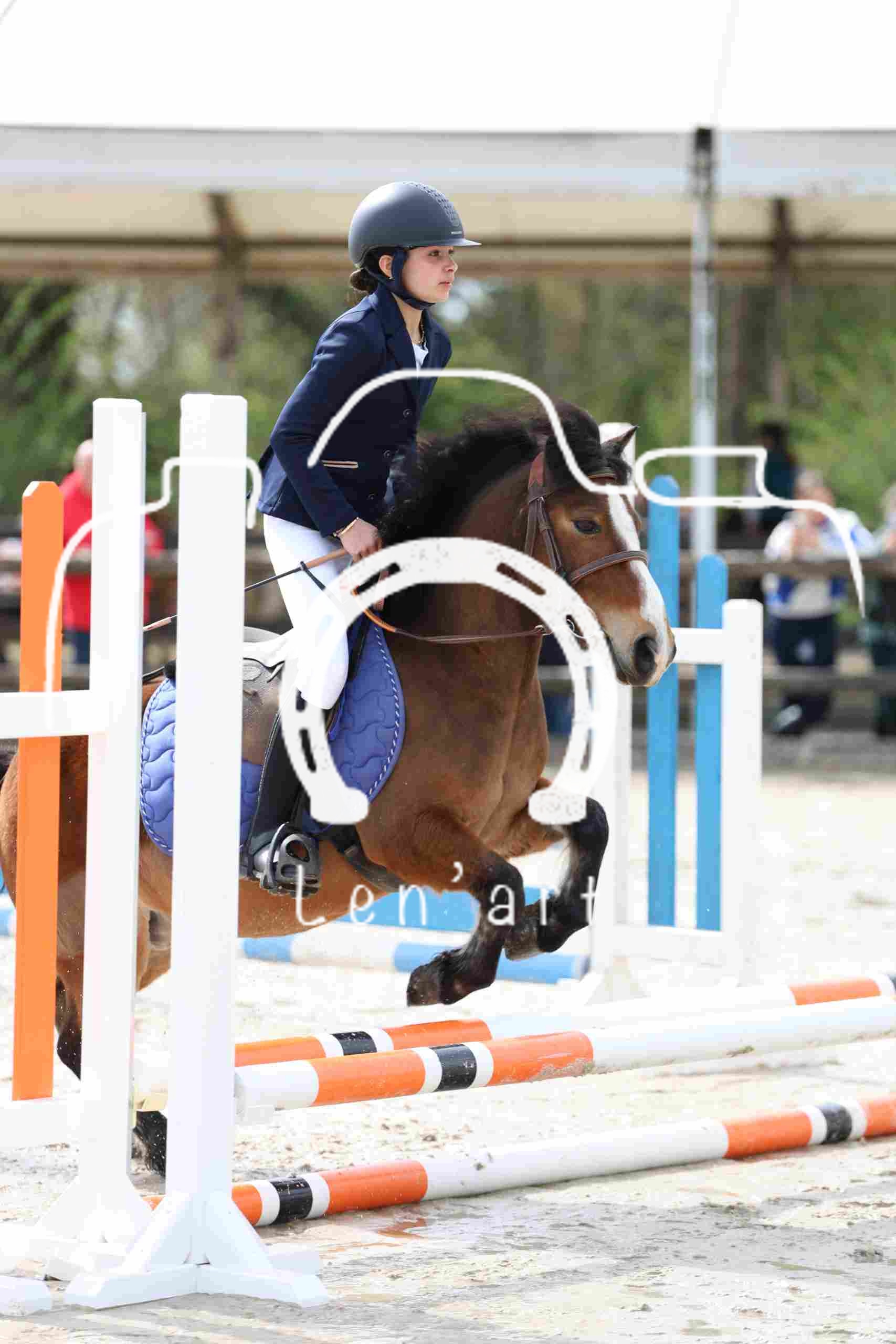 Poney 50 cm