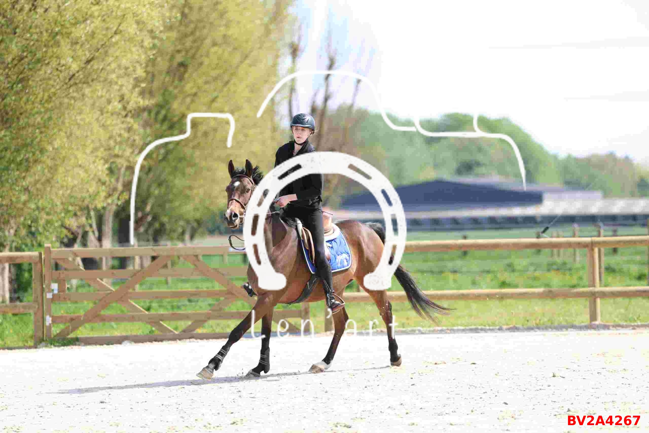 Chevaux 60 cm