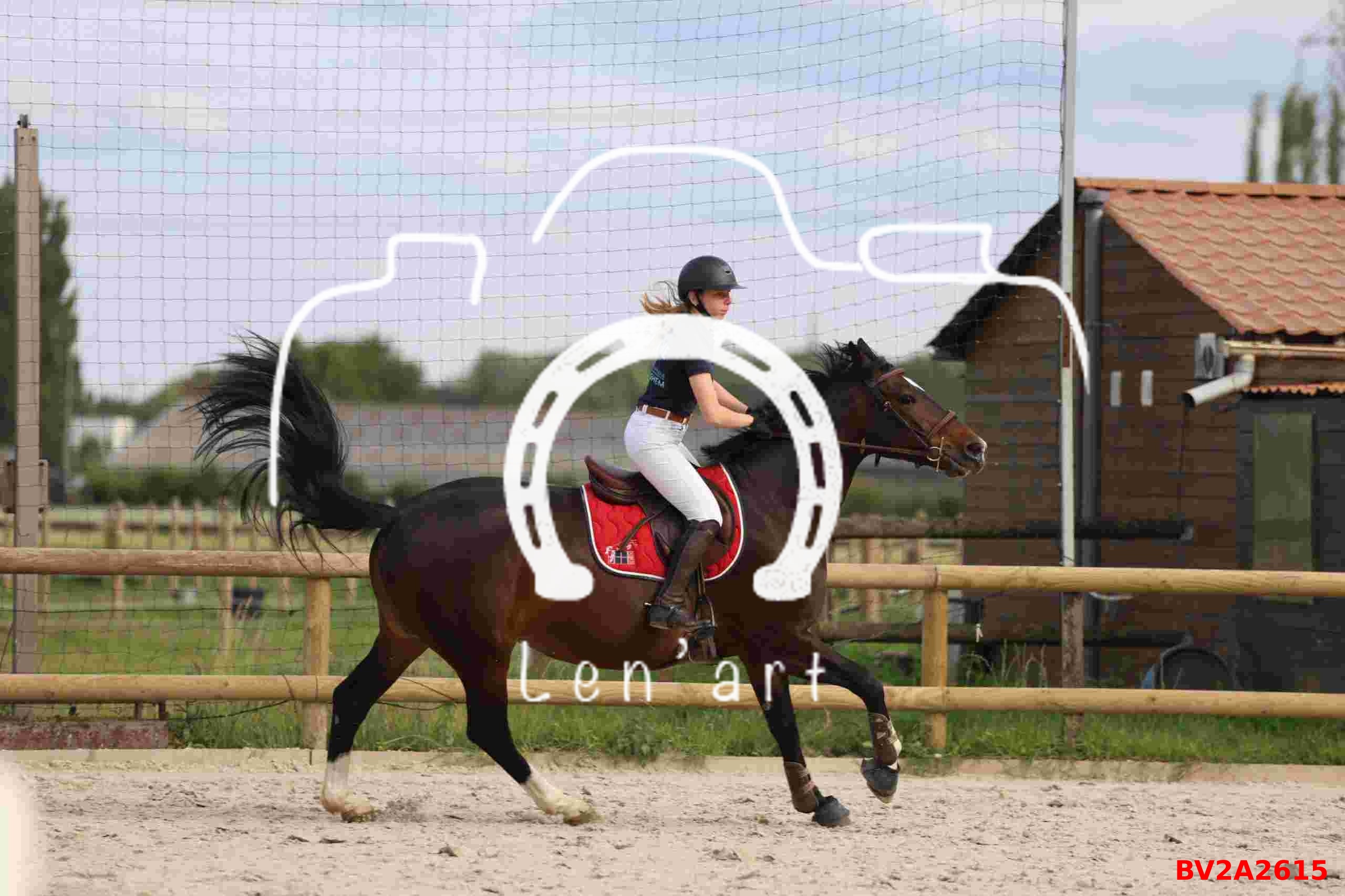 Chevaux 1m
