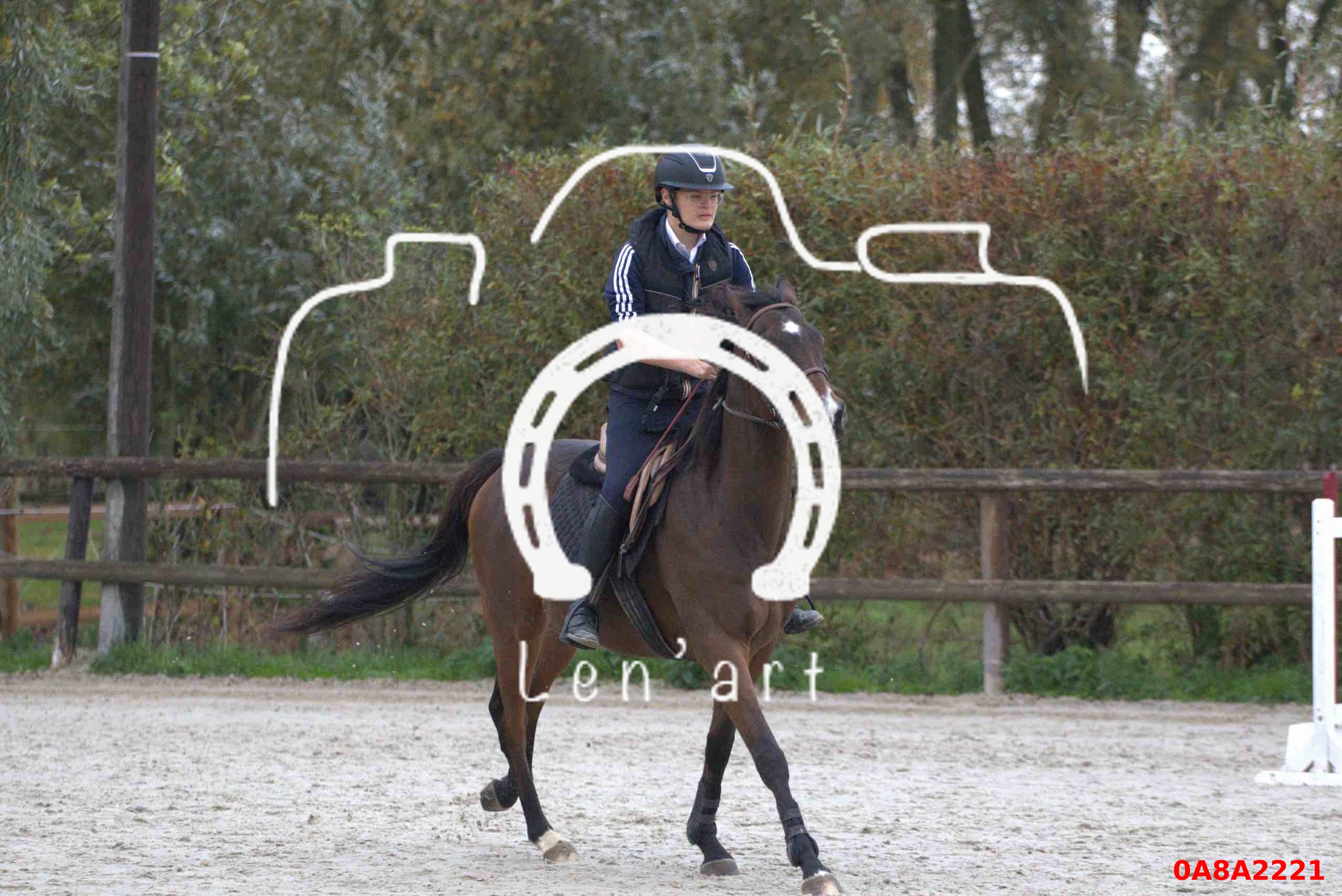 Chevaux 80 cm