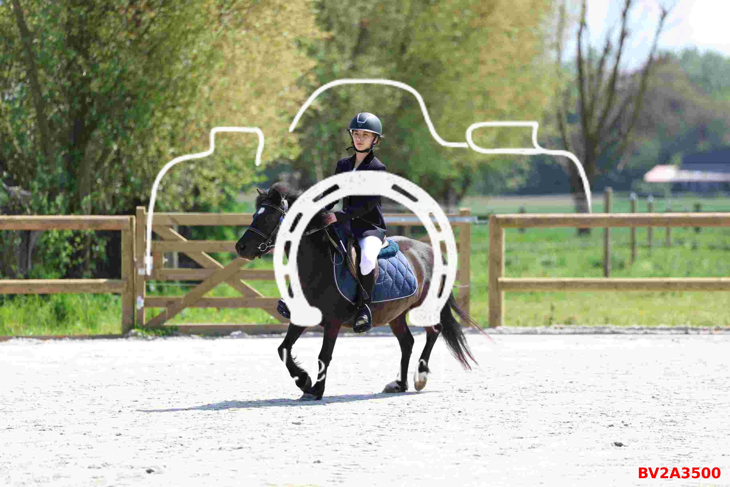 Poney 50 cm