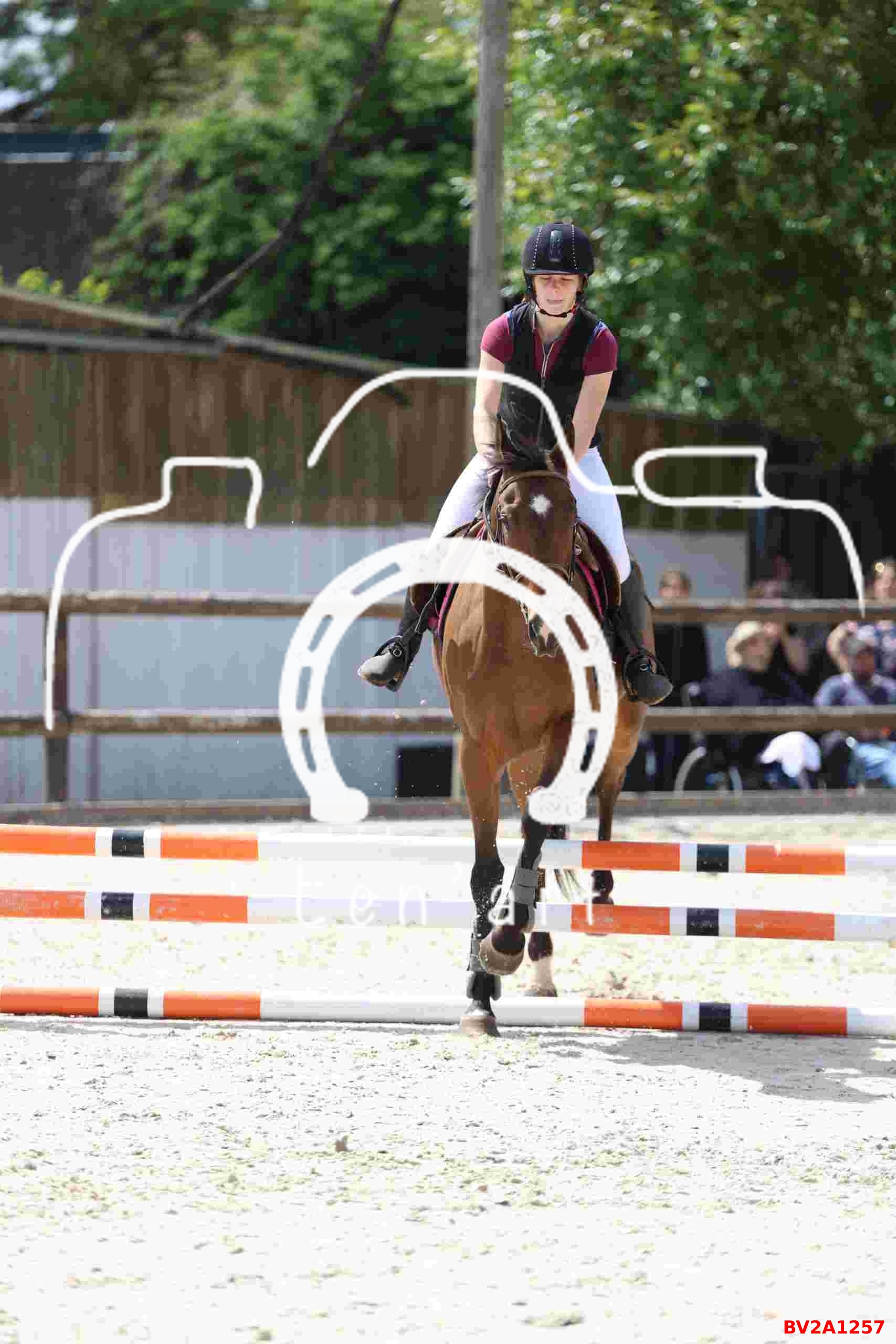 Chevaux 60 cm
