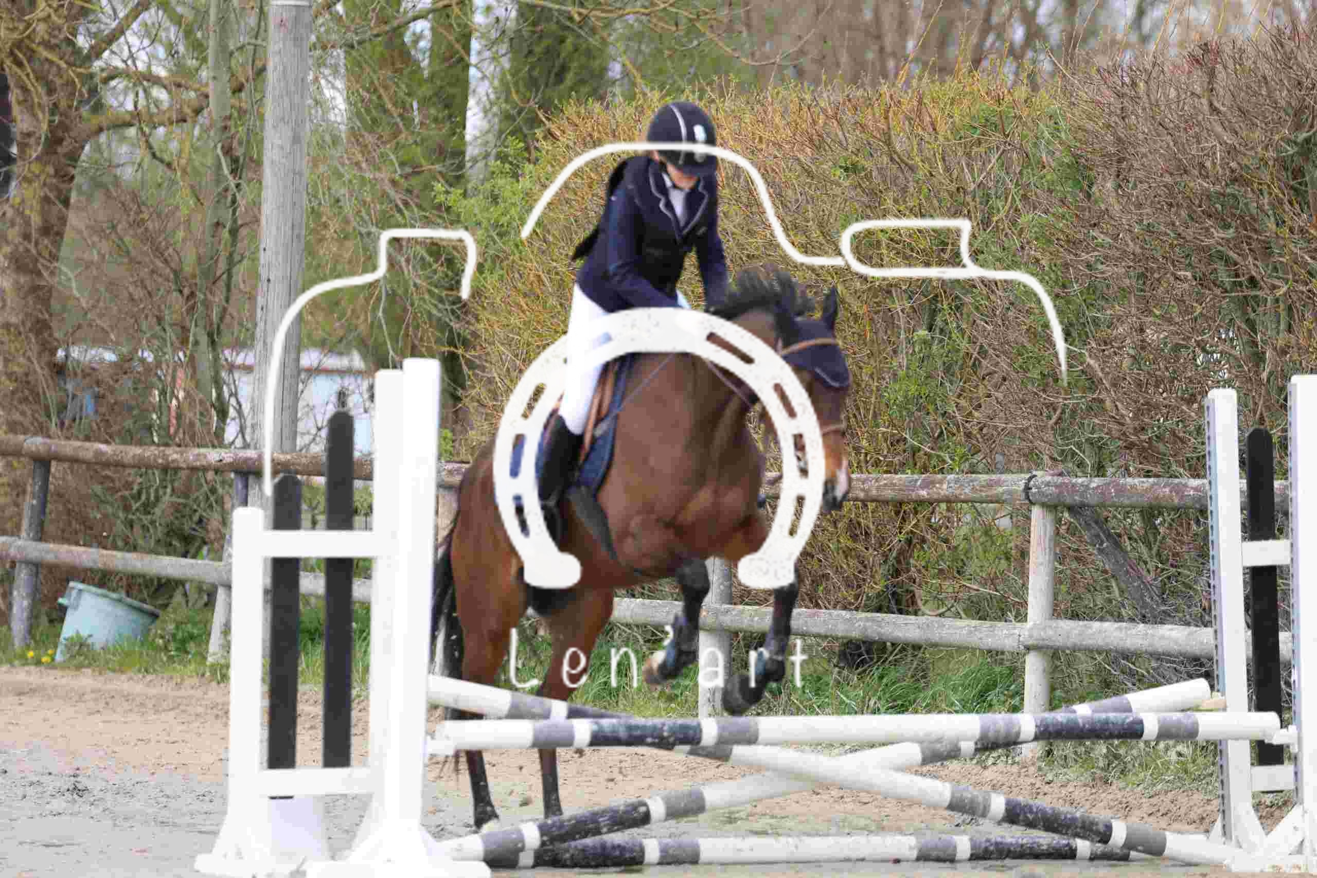 Chevaux 60 cm
