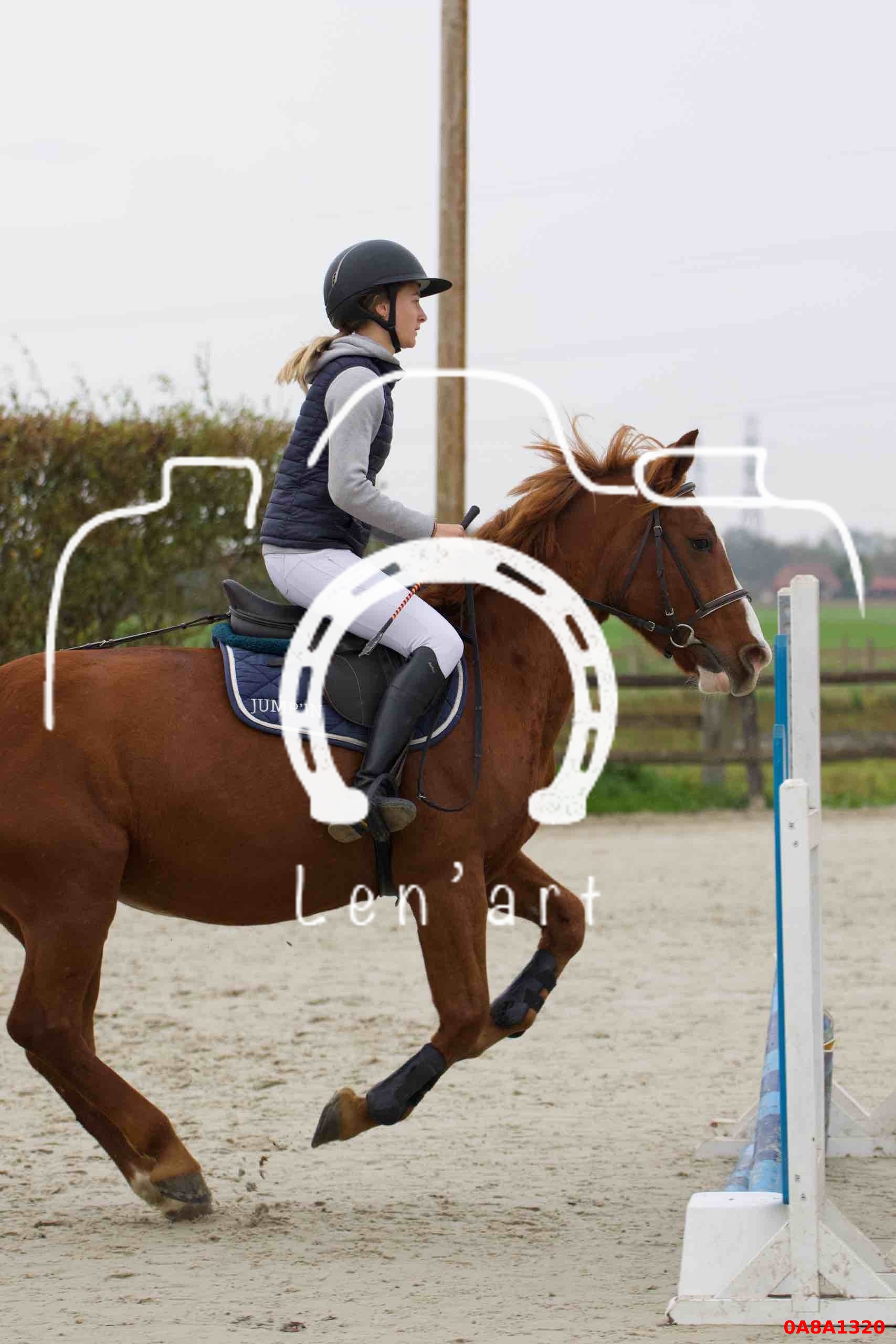 Chevaux 60cm